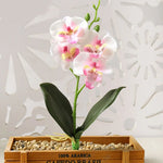 décoration intérieure orchidée artificielle violette blanche rose pot bois festive chambre