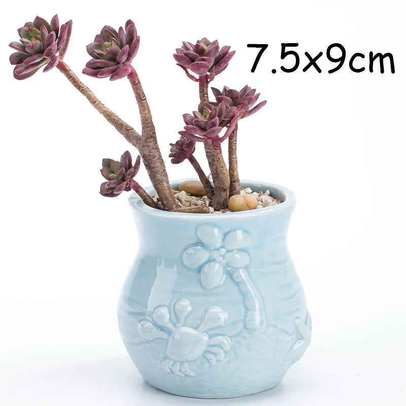 petit cache pot ceramique bleu motif poisson marin decoratif plante succulente maison