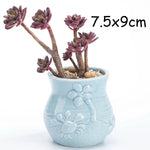 petit cache pot ceramique bleu motif poisson marin decoratif plante succulente maison