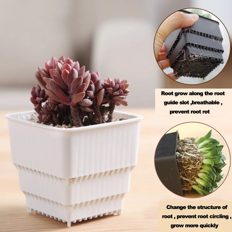 Bacs pépinière modernes pots 6cm blancs poignées ridés plantes intérieuresDecorationMaison