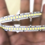 ruban led blanc moderne 24v smd 6500k 240led 5m non waterproof ip20