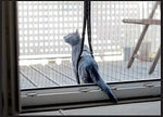 rideau porte magnétique anti moustiques polyester gris clair noir moderne aimants fixe auto agrippante