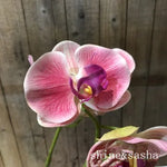 décoration intérieure orchidée artificielle latex blanc rose violet moderne sans vase