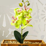 décoration intérieure orchidée artificielle violette blanche rose pot bois festive chambre