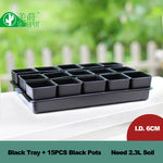 Bacs pépinière modernes pots 6cm blancs poignées ridés plantes intérieuresDecorationMaison