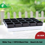 Bacs pépinière modernes pots 6cm blancs poignées ridés plantes intérieuresDecorationMaison