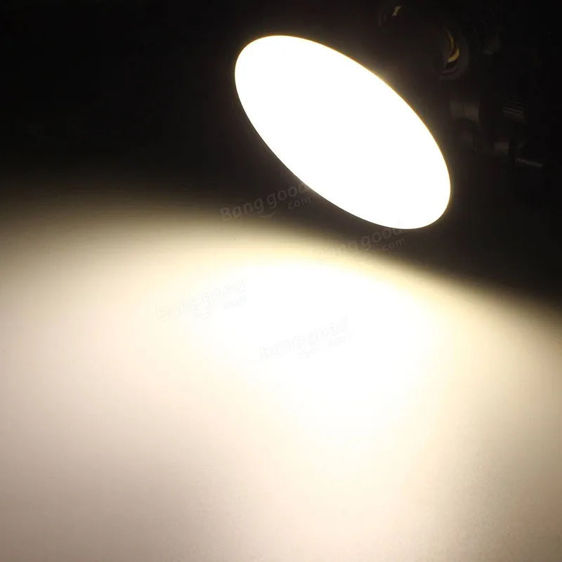 Ampoule LED Argenté 6000K 12W PAR30 Étanche IP65 Dimmable 50000h Moderne