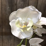 décoration intérieure orchidée artificielle latex blanc rose violet moderne sans vase