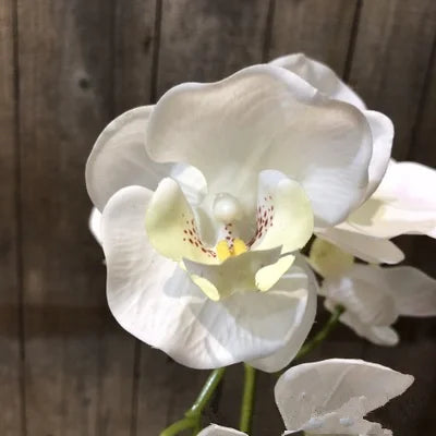 décoration intérieure orchidée artificielle latex blanc rose violet moderne sans vase