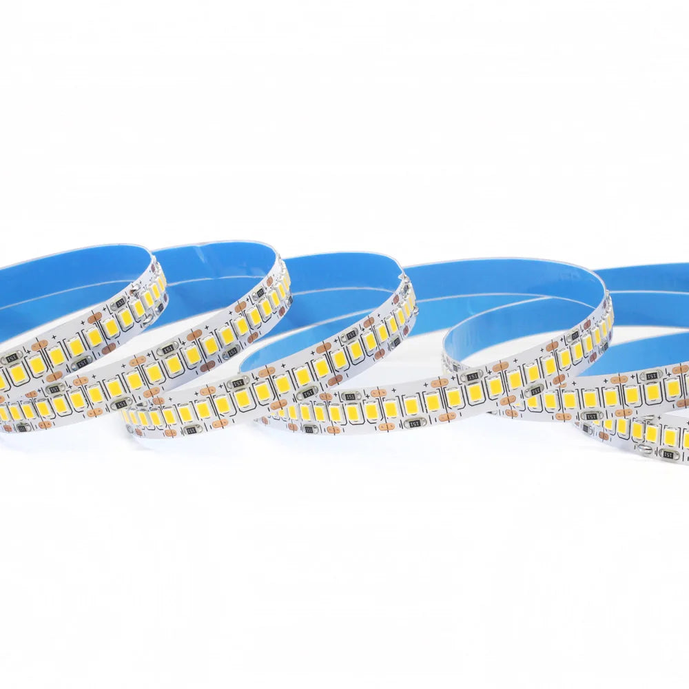 ruban led 12v blanc moderne adhésif 240leds/m 50000heures ip20 non étanche