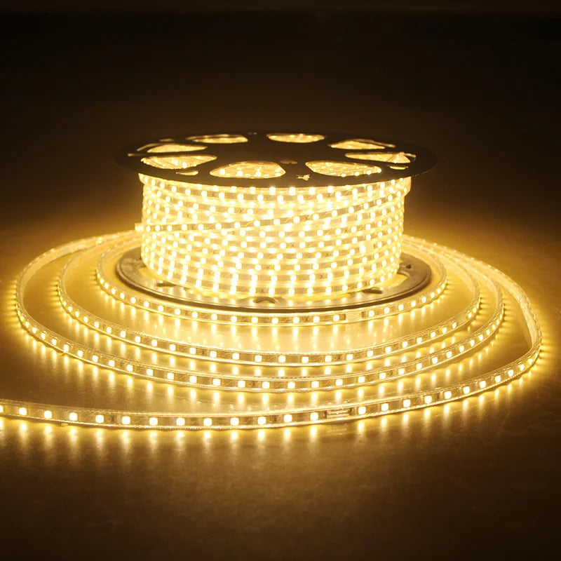 Prise EU intégrée au ruban LED 220V pour connexion facile