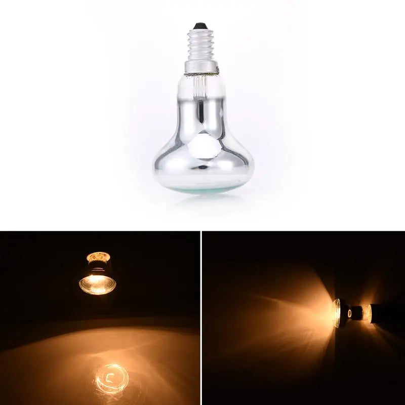 Ampoule décorative intérieure R50 verre transparent