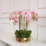 décoration intérieure orchidée artificielle latex blanc rose violet moderne sans vase