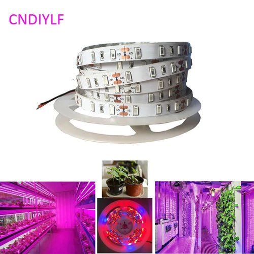 ruban led culture végétale 5m 12v blanc rouge violet 300led modernes diodes intégrées