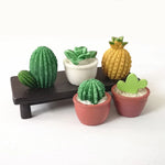 miniatures artificielles cactus plantes succulentes deco jardin bricolage ornement pot gravier blanc réaliste