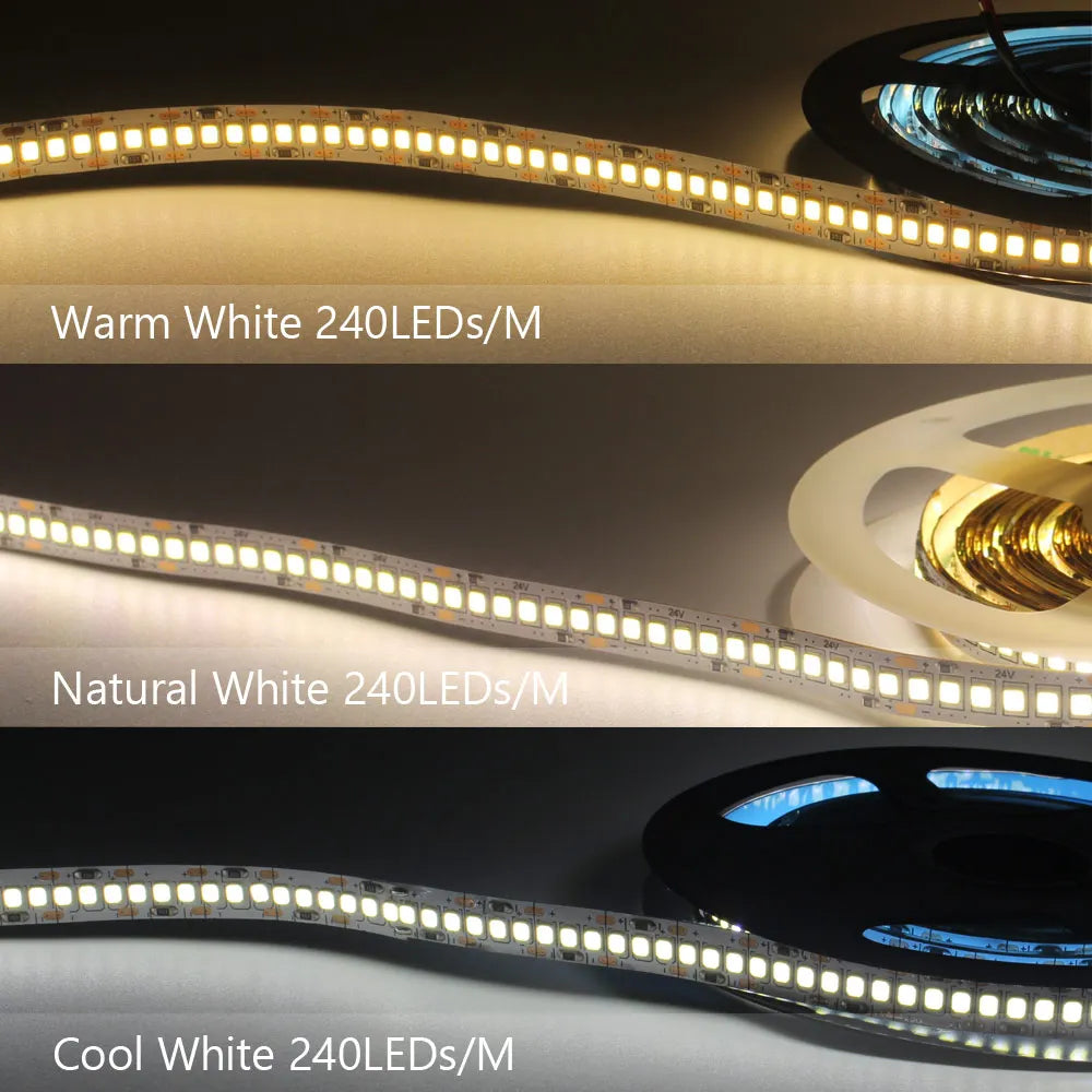 Bande LED 12V 240 LED/m SMD 2835