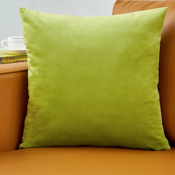 coussin velours carré moderne vert foncé bleu clair blanc opacité simple
