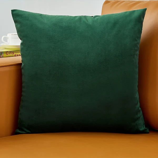 coussin velours carré moderne vert foncé bleu clair blanc opacité simple