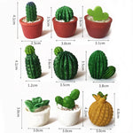 miniatures artificielles cactus plantes succulentes deco jardin bricolage ornement pot gravier blanc réaliste