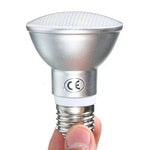 Ampoule LED Argenté 6000K 12W PAR30 Étanche IP65 Dimmable 50000h Moderne