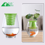 pots fleurs modernes perforés jaune vert orange blanc noir 10cm 12cm 16cm 20cm