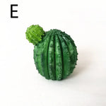 miniatures artificielles cactus plantes succulentes deco jardin bricolage ornement pot gravier blanc réaliste