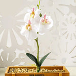 décoration intérieure orchidée artificielle violette blanche rose pot bois festive chambre