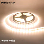 ruban led adhésif blanc froid chaud rouge vert bleu ip65 12v smd 60led/m