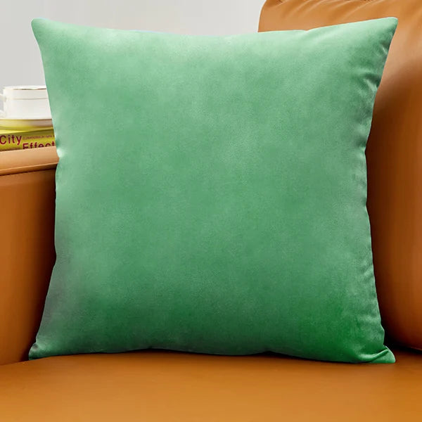 coussin velours carré moderne vert foncé bleu clair blanc opacité simple