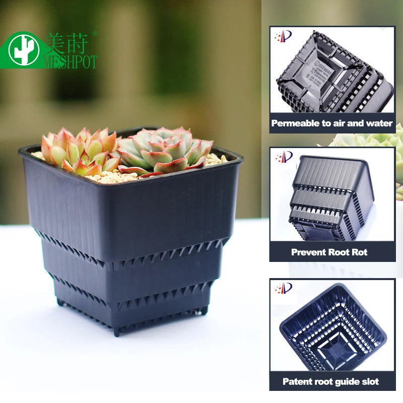 Bacs pépinière modernes pots 6cm blancs poignées ridés plantes intérieuresDecorationMaison