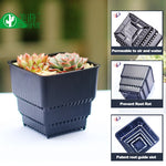 Bacs pépinière modernes pots 6cm blancs poignées ridés plantes intérieuresDecorationMaison