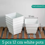 Pots succulentes blancs moderne rainures verticales drainage aération 10cm 12cm 15cm