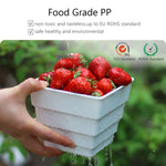 Lot de pots pour bégonias et alocasias