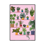 Une collection éclectique de plantes d'intérieur colorées et exotiques sur des étagères roses.