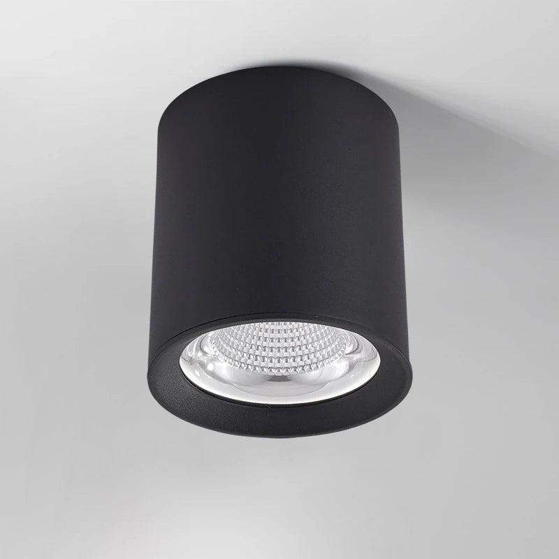 Spot lumineux moderne surface mounted noir blanc 10W 15W 25W 35W LED anti reflet