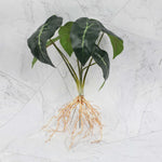 décoration intérieure plante artificielle verte feuilles modernes sans pot