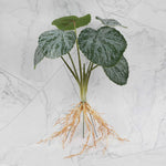 décoration intérieure plante artificielle verte feuilles modernes sans pot