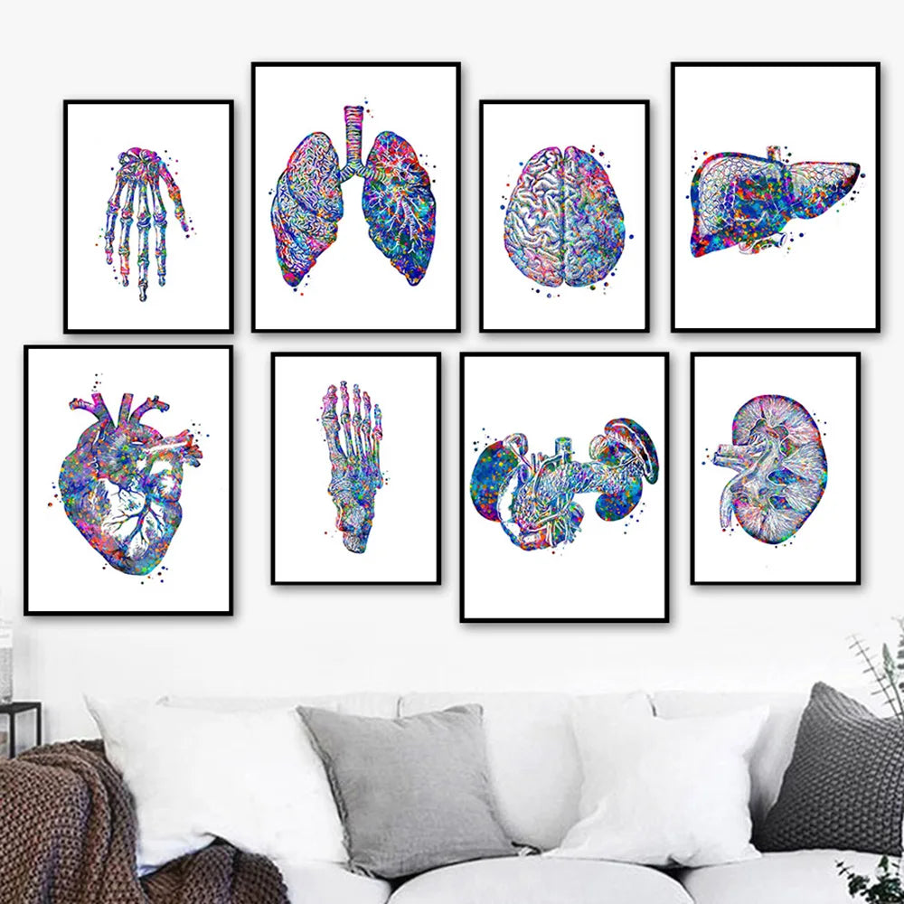 Une collection d'affiches anatomiques aux couleurs vives représentant différents organes du corps humain, tels que les poumons, le cerveau, le foie et le rein.