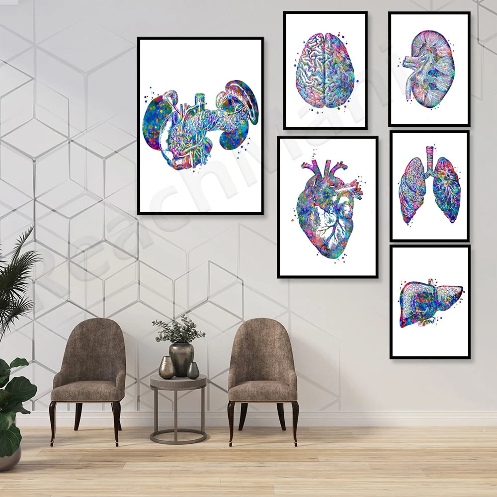 Une collection d'affiches colorées représentant diverses anatomies humaines telles que le cerveau, le cœur, les poumons et le foie, créant une mise en scène médicale moderne et artistique.