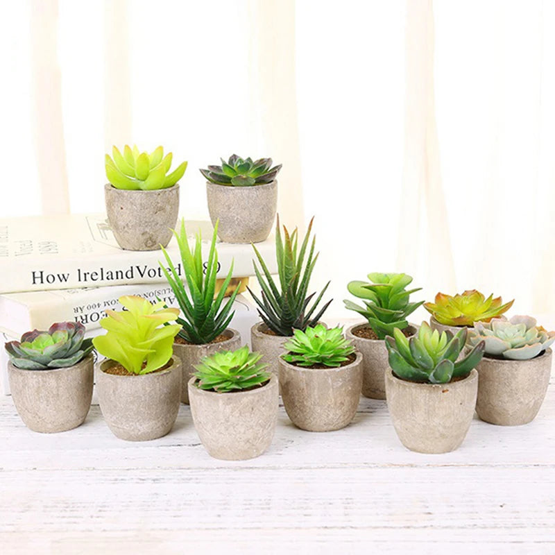 plantes succulentes artificielles vertes modernes mini bonsaï décoration maison feuilles pointues arrondies pot céramique