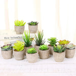 plantes succulentes artificielles vertes modernes mini bonsaï décoration maison feuilles pointues arrondies pot céramique