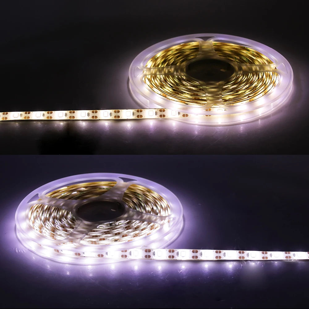 Ruban LED violet 60 diodes/m pour ambiance lumineuse