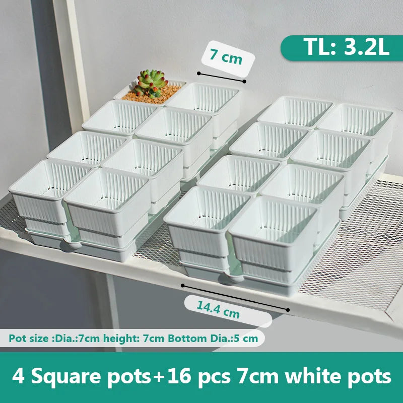 pots plastique blanc succulentes racines contrôle moderne perforations verticales jardin