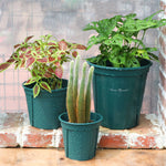 pots fleurs plastique vert moderne soucoupe cannelée taille moyenne balconintérieur