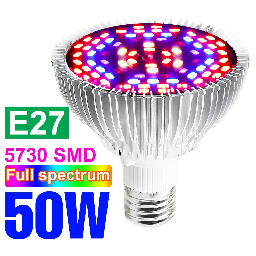 lampe croissance plantes led blanc rouge violet forme diamant moderne 50w 80w 100w e27
