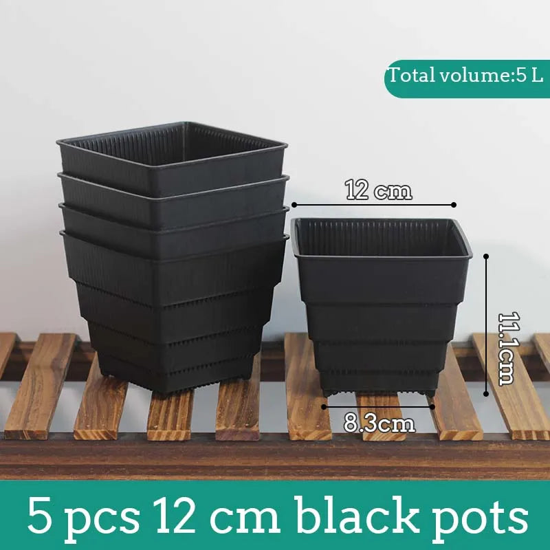 Pots succulentes blancs moderne rainures verticales drainage aération 10cm 12cm 15cm