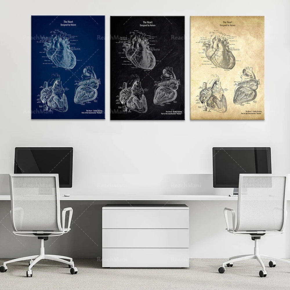 Les images montrent des schémas anatomiques détaillés du cœur humain, dans différents styles graphiques. L'image est destinée à être utilisée comme décoration murale dans un bureau ou un espace de travail.