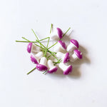 champignons artificiels blancs rouges roses bleus verts taches blanches décoration noël scrapbooking
