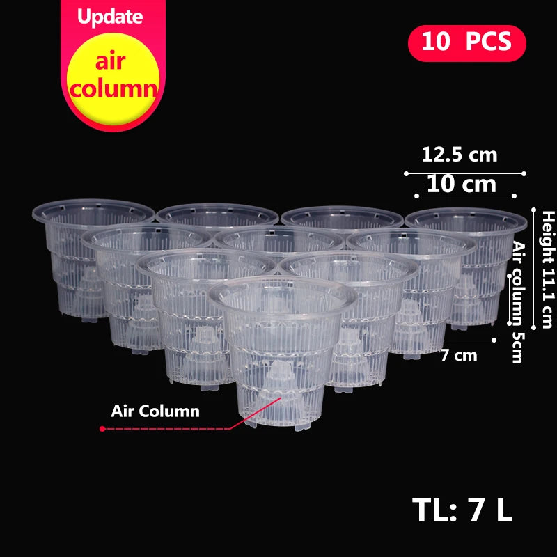 Pots plante transparents modernes perforés drainants 10cm fleur verteintérieur