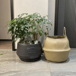 panier tissé osier pliable rangement stockage beige clair rustique naturel poignées corde